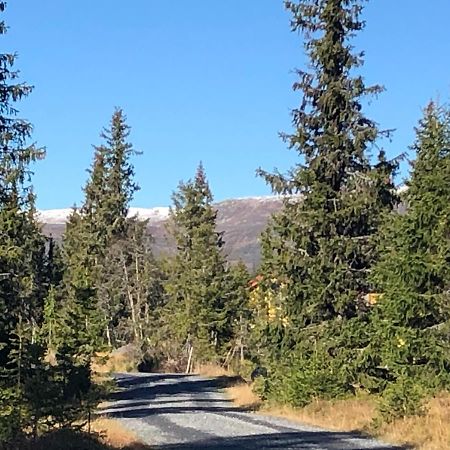 Sykkelhytte Ved Slatten I Synnfjellet Nord Torpa ภายนอก รูปภาพ