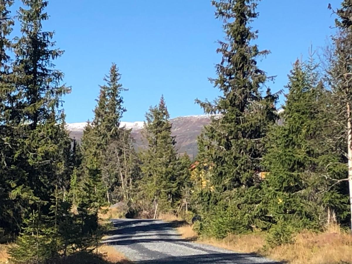 Sykkelhytte Ved Slatten I Synnfjellet Nord Torpa ภายนอก รูปภาพ
